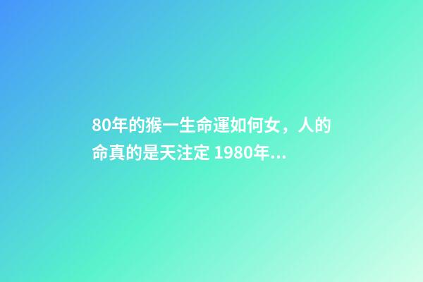 80年的猴一生命運如何女，人的命真的是天注定 1980年屬猴女人命運 80年女猴一生性格命運-第1張-觀點-玄機派